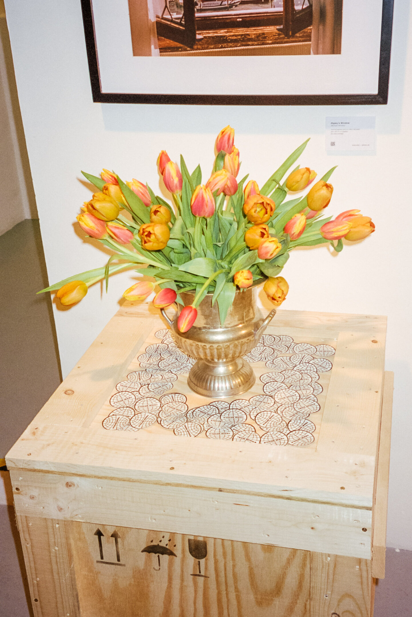 fashion freelance photography event