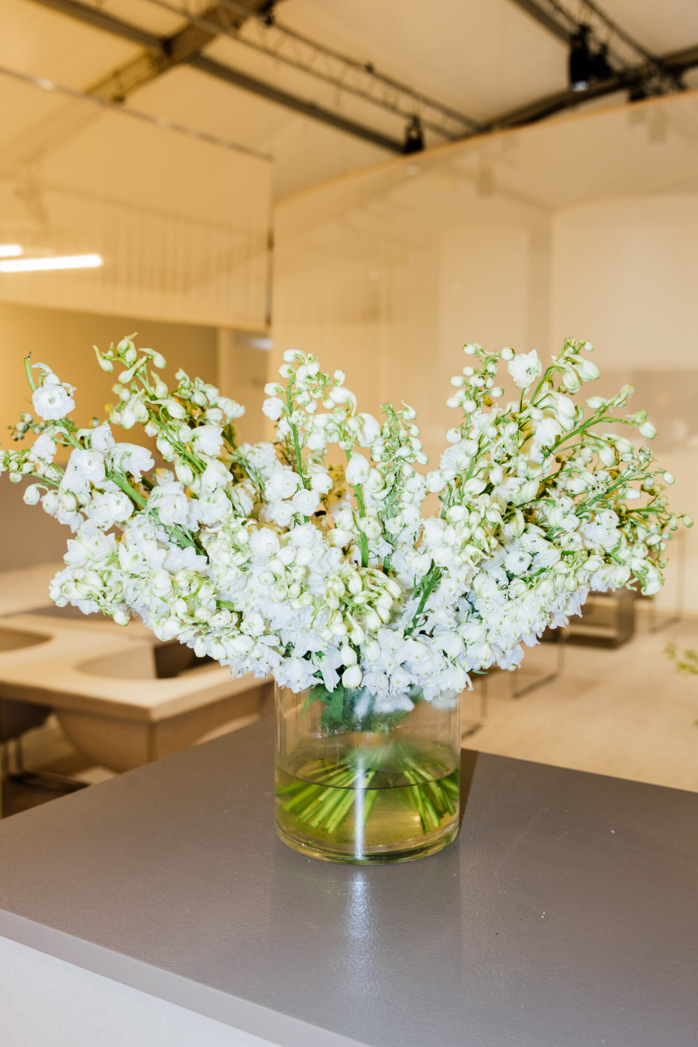 fashionweek photography fashion