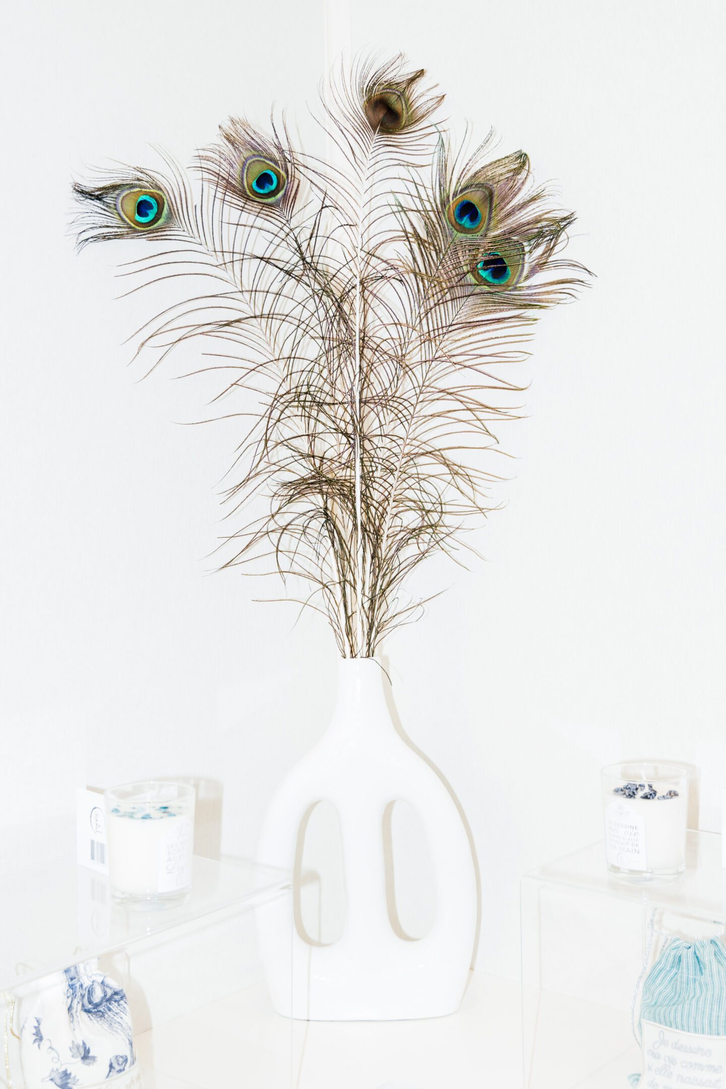 fashionweek photography fashion